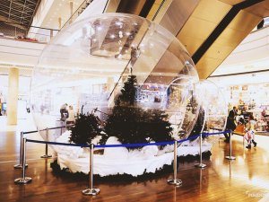 bubble_tents_gallery_11
