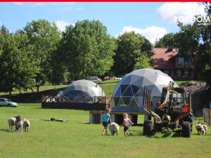 glamping_tents_with_kids
