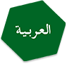 Arab geodesic flag