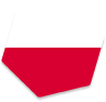 Polish geodesic flag